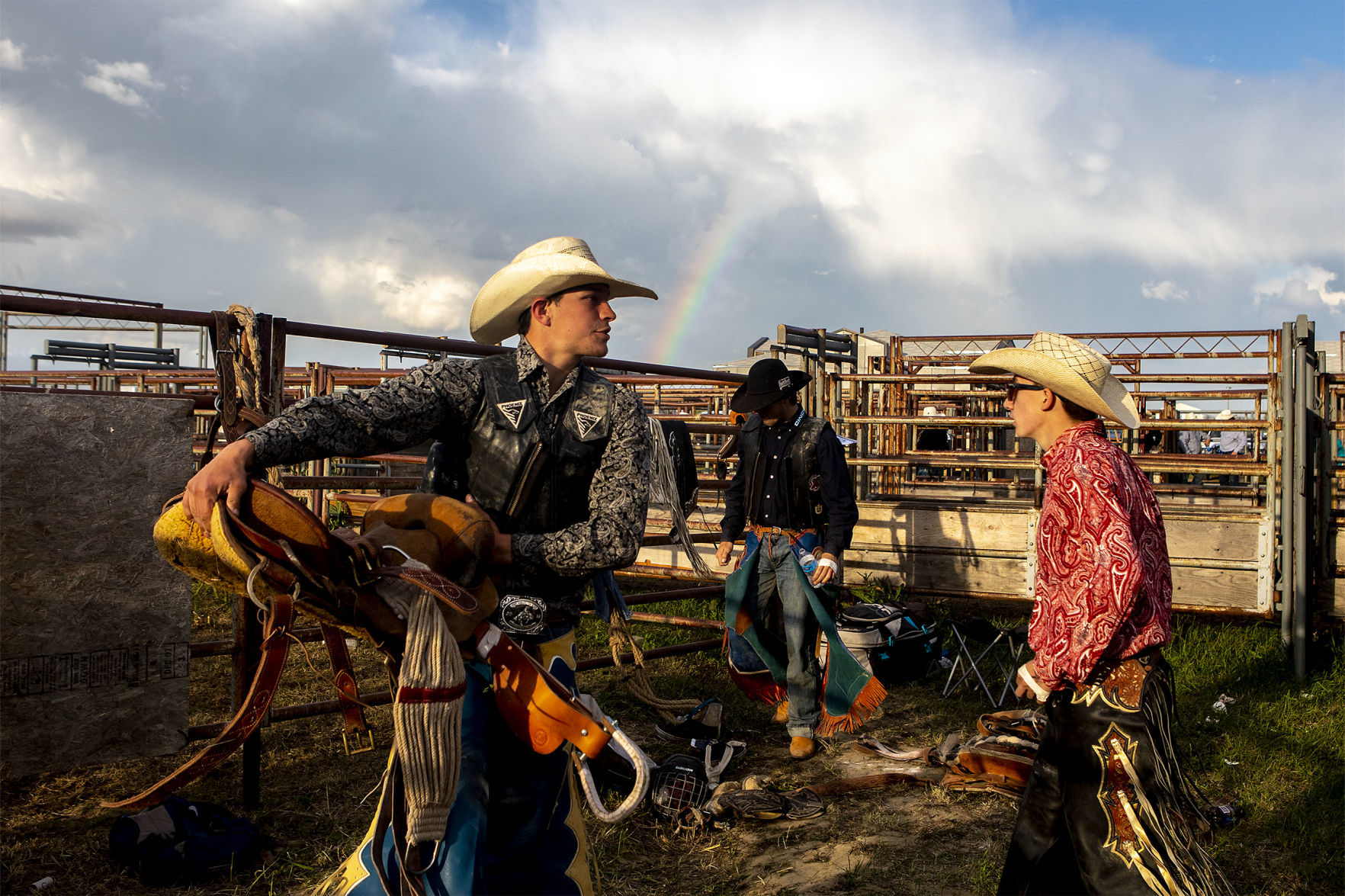 Rodeo gallery